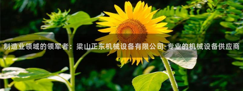 金年会电子游戏app官方网站：制造业领域的领军者：梁山正东机械设备有限公司-专业的机械设备供应商