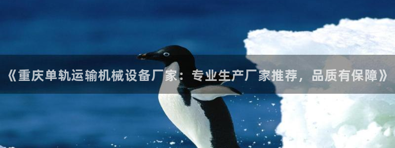 金年会体育app官网入口：《重庆单轨运输机械设备厂家：专业生产厂家推荐，品质有保障》