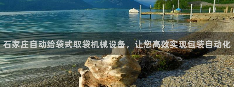 金年会网站入口：石家庄自动给袋式取袋机械设备，让您高效实现包装自动化