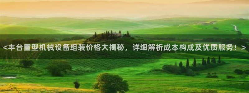金年会电子游戏：<丰台重型机械设备组装价格大揭秘，详细解析成本构成及优质服务！>