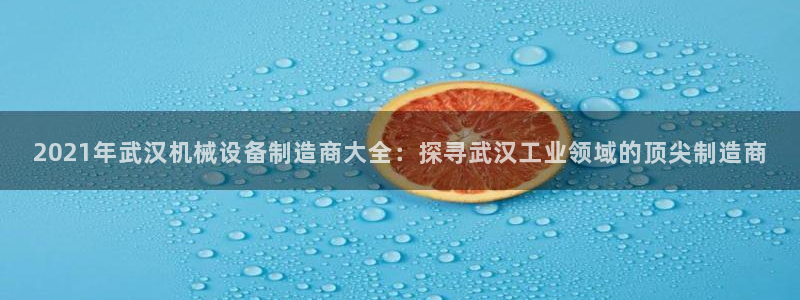 金年会金字招牌信誉至上是黑平台吗：2021年武汉机械设备制造商大全：探寻武汉工业领域的顶尖制造商