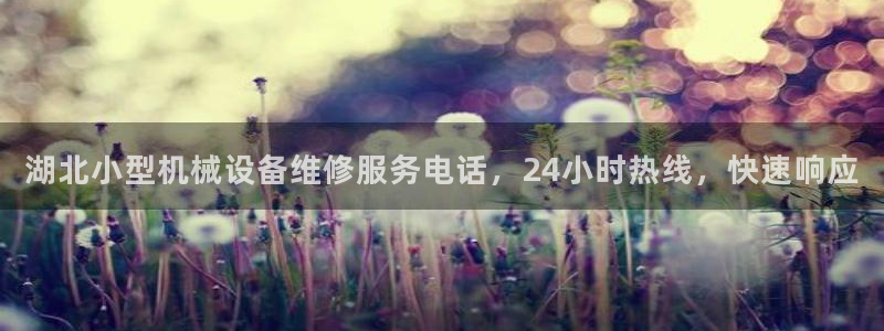 金年会体育平台官网下载：湖北小型机械设备维修服务电话，24小时热线，快速响应