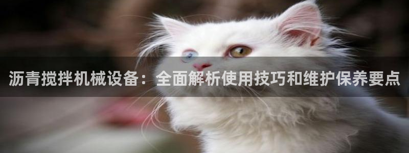 金年会体育黑钱吗：沥青搅拌机械设备：全面解析使用技巧和维护保养要点