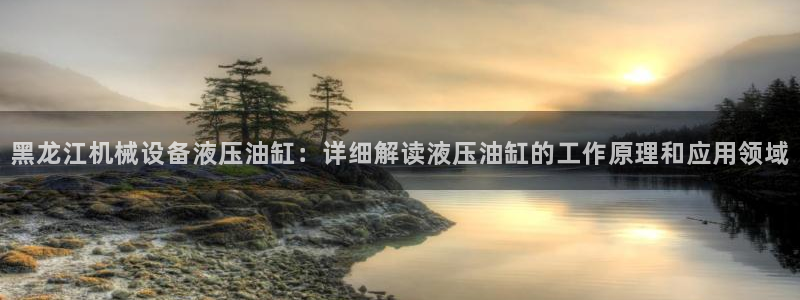 金年会App官方下载：黑龙江机械设备液压油缸：详细解读液压油缸的工作原理和应用领域