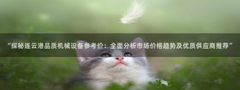 金年会官方娱乐app下载安装：“探秘连云港品质机械设备参考价：全面分析市场价格趋势及优质供应商推荐”