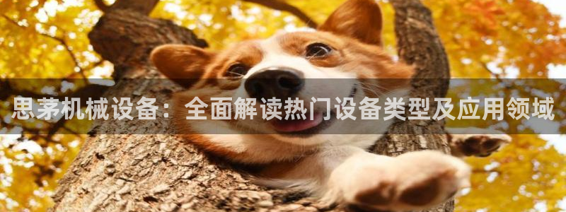 金年会官方娱乐app下载：思茅机械设备：全面解读热门设备类型及应用领域