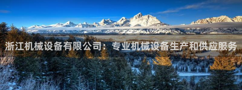 金年会app平台有人玩过吗安全吗：浙江机械设备有限公司：专业机械设备生产和供应服务
