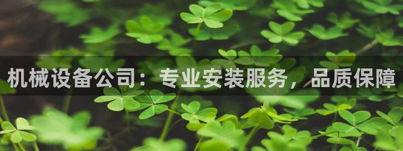金年会体育黑：机械设备公司：专业安装服务，品质保障