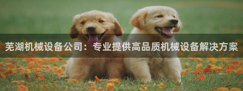 金年会pg官网：芜湖机械设备公司：专业提供高品质机械设备解决方案