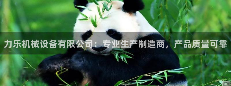 金年会app下载官网登录不了：力乐机械设备有限公司：专业生产制造商，产品质量可靠