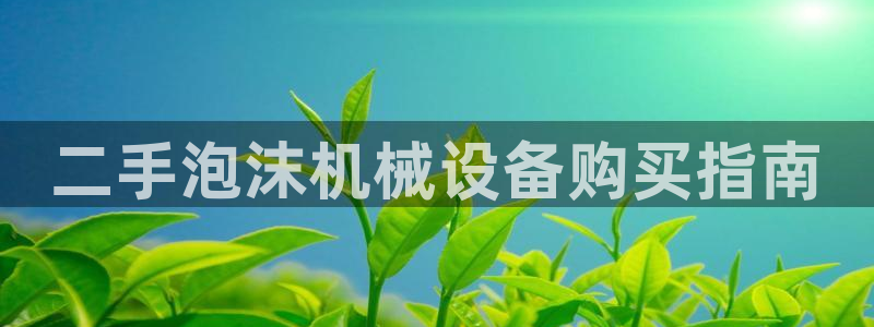 金年会在线入口：二手泡沫机械设备购买指南