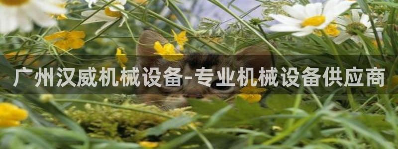 金年会官方app下载安装：广州汉威机械设备-专业机械设备供应商