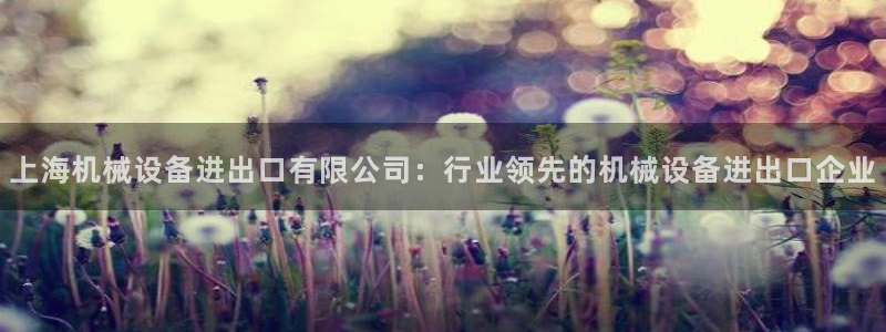 金年会体育有限公司：上海机械设备进出口有限公司：行业领先的机械设备进出口企业
