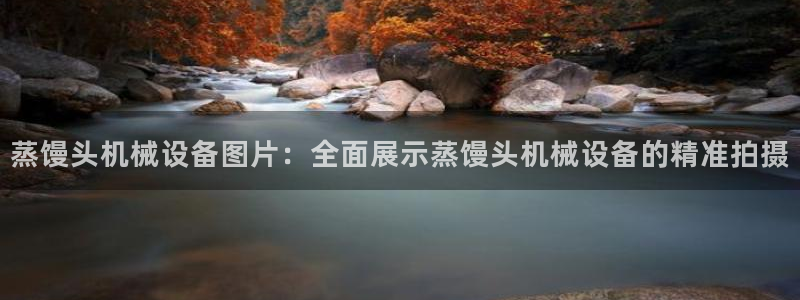 金年会体育app官网86：蒸馒头机械设备图片：全面展示蒸馒头机械设备的精准拍摄