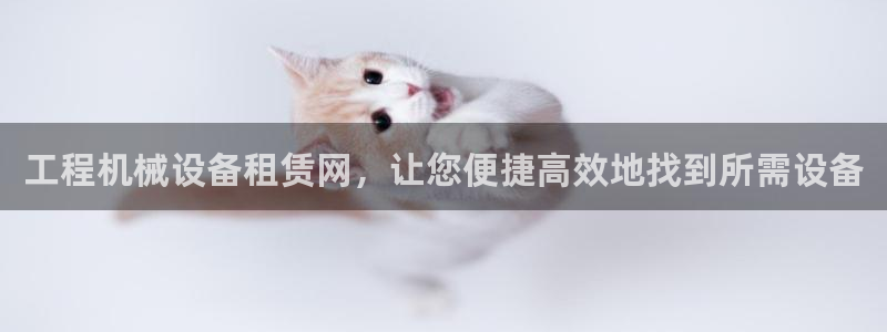 金年会体育官网登录入口下载：工程机械设备租赁网，让您便捷高效地找到所需设备