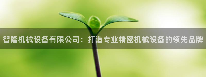 金年会体育是黑台子吗：智隆机械设备有限公司：打造专业精密机械设备的领先品牌