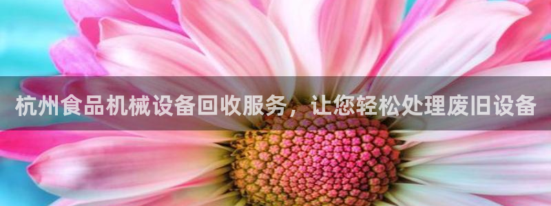 金年会金字招牌诚信至上：杭州食品机械设备回收服务，让您轻松处理废旧设备