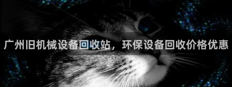 金年会荣誉至上