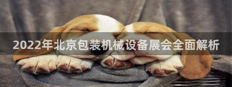 金年会信誉第一：2022年北京包装机械设备展会全面解析