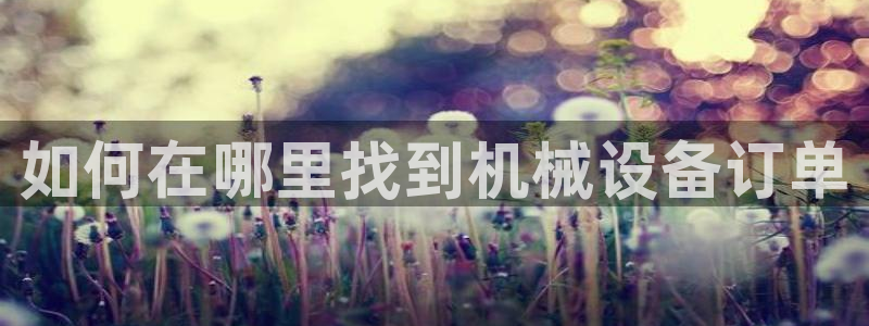 金年会电子游戏app官方网站：如何在哪里找到机械设备订单