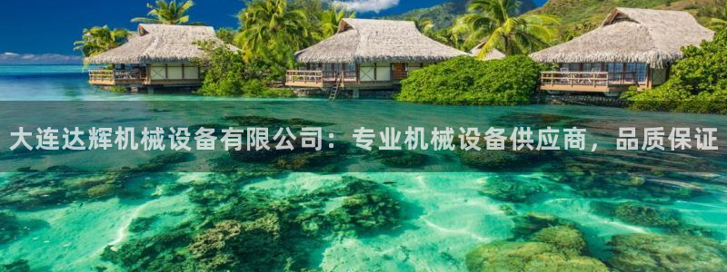 金年会平台怎么样：大连达辉机械设备有限公司：专业机械设备供应商，品质保证
