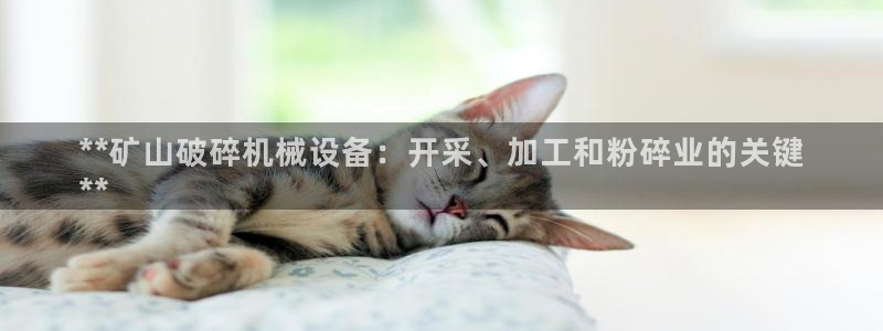 金年会app登录官网入口：**矿山破碎机械设备：开采、加工和粉碎业的关键
**