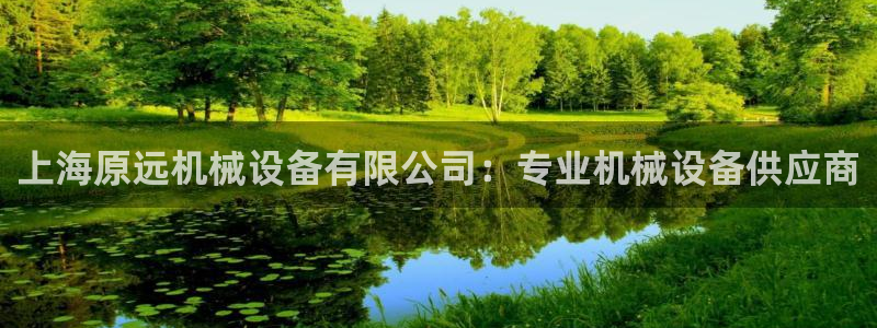 金年会在线入口登录：上海原远机械设备有限公司：专业机械设备供应商
