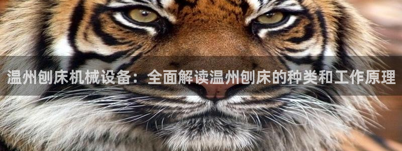 金年会体育论坛：温州刨床机械设备：全面解读温州刨床的种类和工作原理