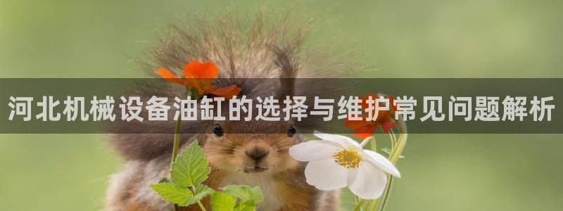 金年会体育注册：河北机械设备油缸的选择与维护常见问题解析