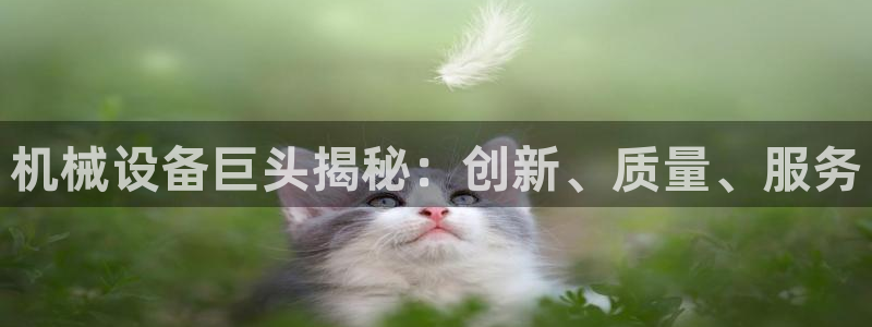 金年会体育app下载官网安卓：机械设备巨头揭秘：创新、质量、服务