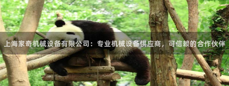金年会电子游戏：上海家奇机械设备有限公司：专业机械设备供应商，可信赖的合作伙伴