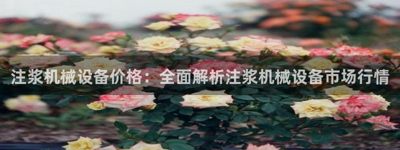 金年会金字招牌在线入口195：注浆机械设备价格：全面解析注浆机械设备市场行情