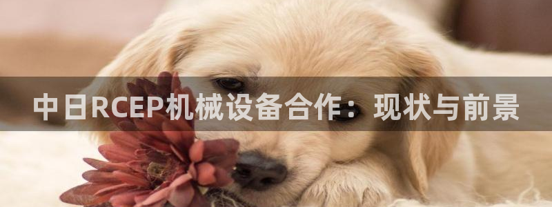 金年会官方在线登录网址是多少号：中日RCEP机械设备合作：现状与前景