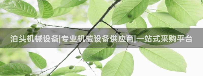 金年会体育平台是真的吗：泊头机械设备|专业机械设备供应商|一站式采购平台