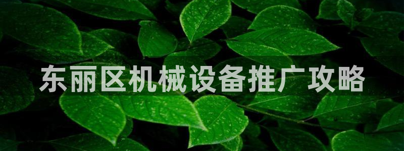 金年会体育竞彩app：东丽区机械设备推广攻略