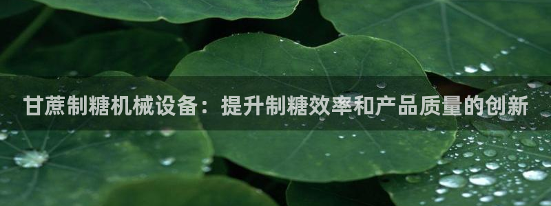 金年会体育网站：甘蔗制糖机械设备：提升制糖效率和产品质量的创新
