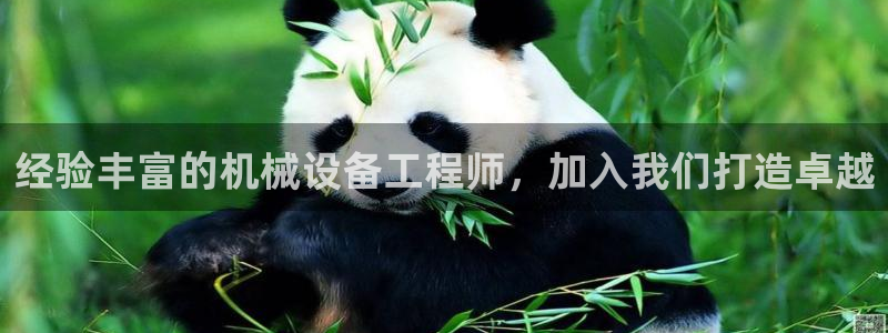 金年会电子app官方下载：经验丰富的机械设备工程师，加入我们打造卓越