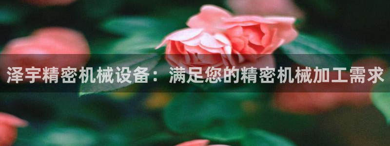 金年会体育合法吗：泽宇精密机械设备：满足您的精密机械加工需求