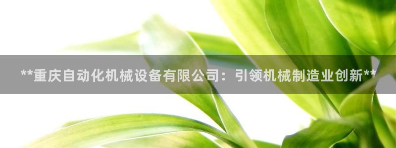 金年会体育app平台怎么样：**重庆自动化机械设备有限公司：引领机械制造业创新**