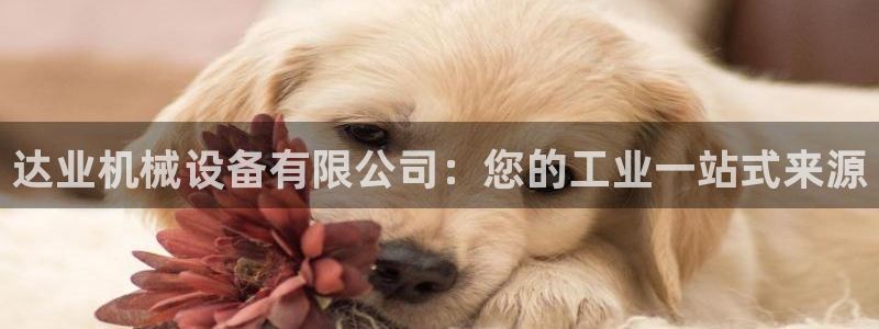 jinnianhui金年会
