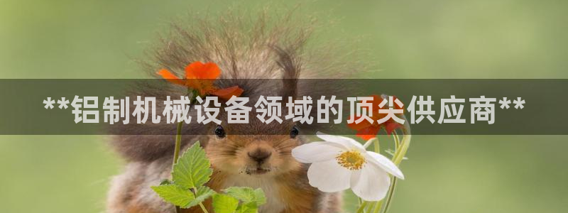 金年会体育官方平台：**铝制机械设备领域的顶尖供应商**