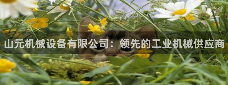 金年会会员登录页面：山元机械设备有限公司：领先的工业机械供应商