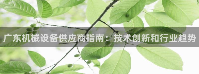 金年会体育黑钱吗：广东机械设备供应商指南：技术创新和行业趋势