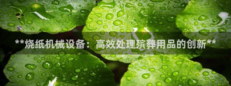 金年会在线入口登陆：**烧纸机械设备：高效处理殡葬用品的创新**