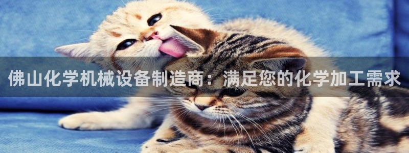 金年会pg电子官网首页：佛山化学机械设备制造商：满足您的化学加工需求