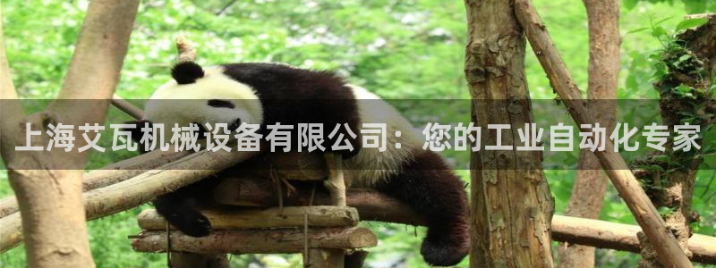 金年会体育那一年注册：上海艾瓦机械设备有限公司：您的工业自动化专家