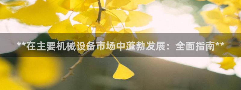 金年会官方下载入口手机版：**在主要机械设备市场中蓬勃发展：全面指南**