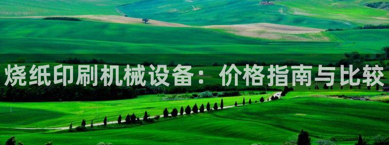 金年会网站事件后果：烧纸印刷机械设备：价格指南与比较