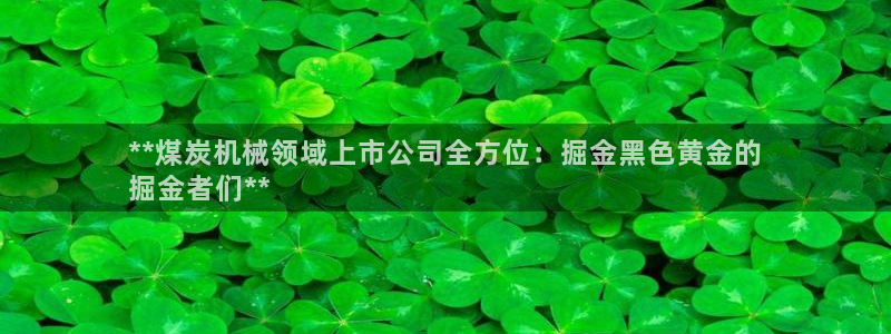 金年会官方网站首页入口：**煤炭机械领域上市公司全方位：掘金黑色黄金的
掘金者们**