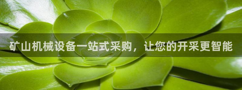金年会网站稳不稳